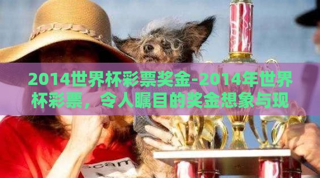 2014世界杯彩票奖金-2014年世界杯彩票，令人瞩目的奖金想象与现实