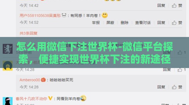 怎么用微信下注世界杯-微信平台探索，便捷实现世界杯下注的新途径