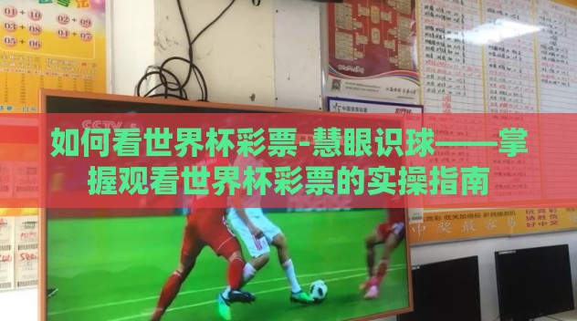 如何看世界杯彩票-慧眼识球——掌握观看世界杯彩票的实操指南