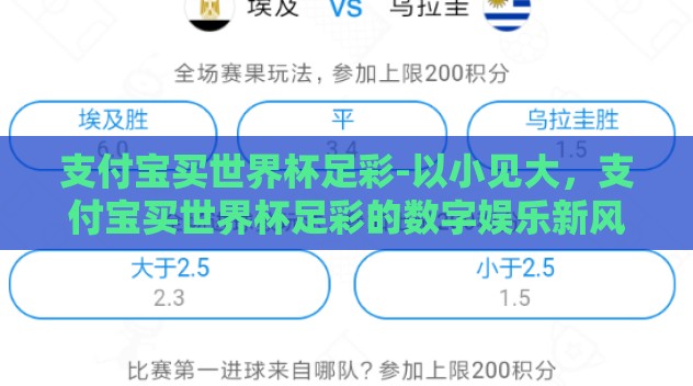 支付宝买世界杯足彩-以小见大，支付宝买世界杯足彩的数字娱乐新风貌