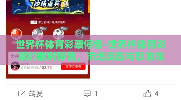 世界杯体育彩票停售-世界杯体育彩票的临时停售，市场反应与影响浅析