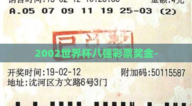 2002世界杯八强彩票奖金-