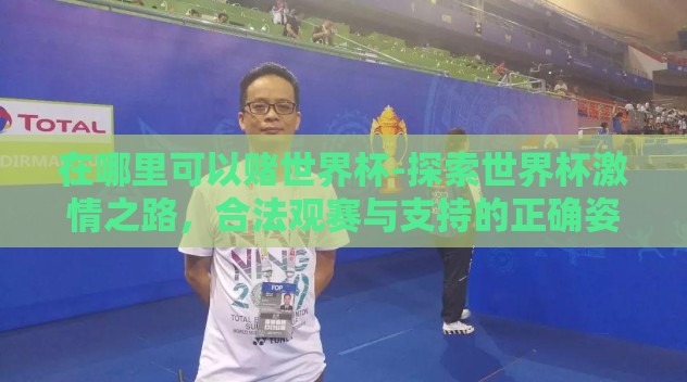 在哪里可以赌世界杯-探索世界杯激情之路，合法观赛与支持的正确姿势