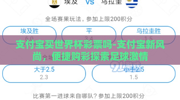 支付宝买世界杯彩票吗-支付宝新风尚，便捷购彩探索足球激情