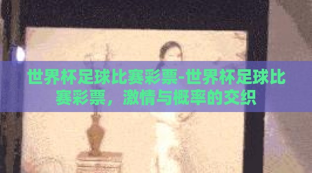 世界杯足球比赛彩票-世界杯足球比赛彩票，激情与概率的交织