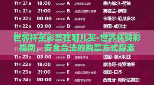 世界杯买彩票在哪儿买-世界杯购彩指南，安全合法的购票方式探索