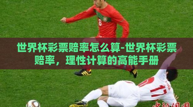 世界杯彩票赔率怎么算-世界杯彩票赔率，理性计算的高能手册