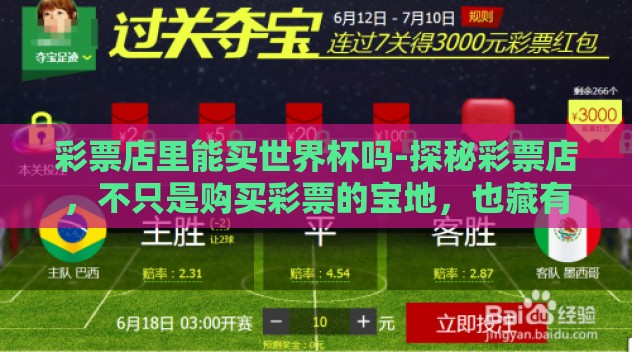 彩票店里能买世界杯吗-探秘彩票店，不只是购买彩票的宝地，也藏有球的邂逅