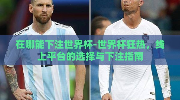 在哪能下注世界杯-世界杯狂热，线上平台的选择与下注指南