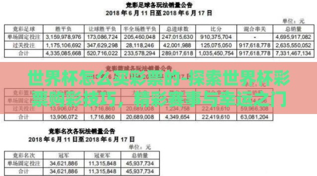 世界杯怎么买彩票的-探索世界杯彩票购彩技巧，精彩赛事与幸运之门的巧妙融合