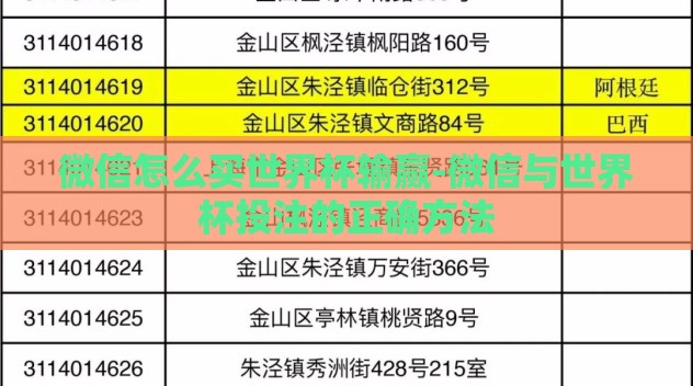 微信怎么买世界杯输赢-微信与世界杯投注的正确方法