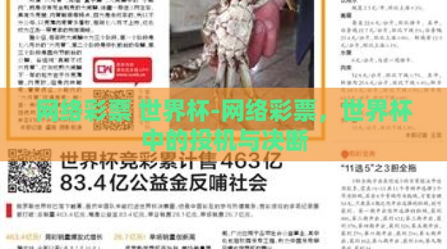 网络彩票 世界杯-网络彩票，世界杯中的投机与决断