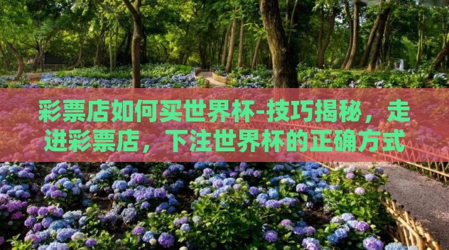 彩票店如何买世界杯-技巧揭秘，走进彩票店，下注世界杯的正确方式