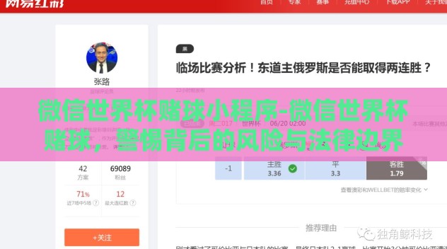 微信世界杯赌球小程序-微信世界杯赌球,警惕背后的风险与法律边界 微信世界杯赌球小程序-微信世界杯赌球,警惕背后的风险与法律边界