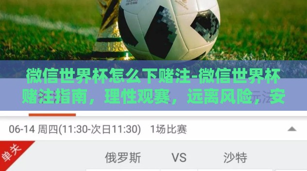 微信世界杯怎么下赌注-微信世界杯赌注指南，理性观赛，远离风险，安全观战