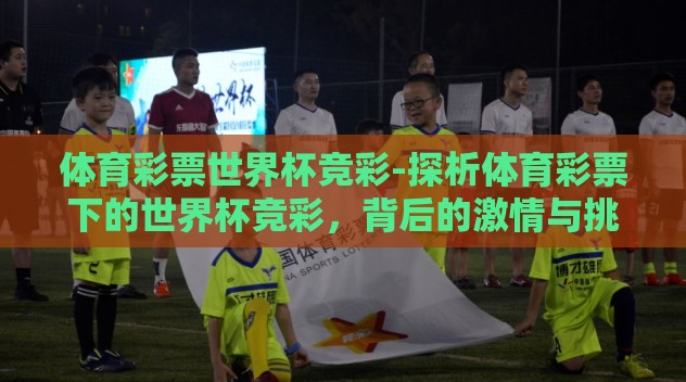 体育彩票世界杯竞彩-探析体育彩票下的世界杯竞彩，背后的激情与挑战