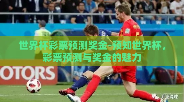 世界杯彩票预测奖金-预知世界杯,彩票预测与奖金的魅力 世界杯彩票预测奖金-预知世界杯,彩票预测与奖金的魅力
