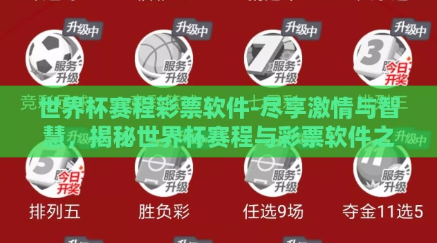 世界杯赛程彩票软件-尽享激情与智慧，揭秘世界杯赛程与彩票软件之合作魅力
