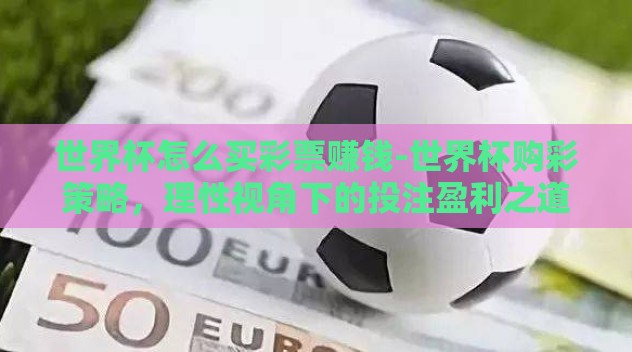 世界杯怎么买彩票赚钱-世界杯购彩策略，理性视角下的投注盈利之道