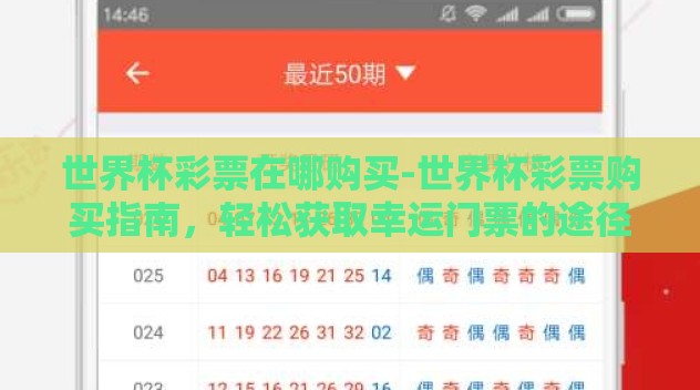 世界杯彩票在哪购买-世界杯彩票购买指南，轻松获取幸运门票的途径